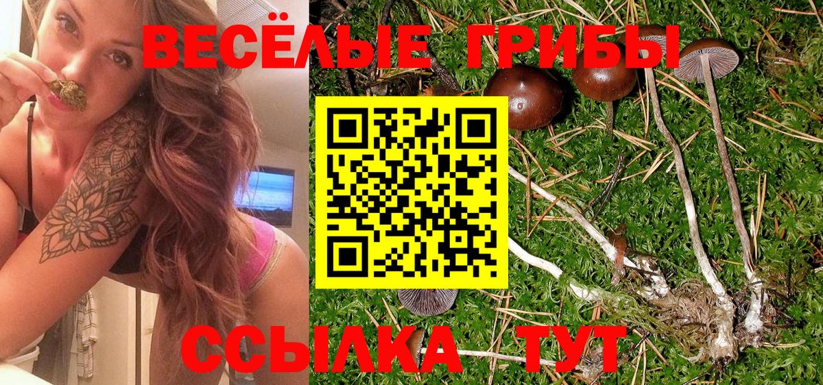 Кандалакша  Галлюциногенные грибы Psilocybe  Вход с VPN  цены   Галлюциногенные грибы Psilocybine cubensis 