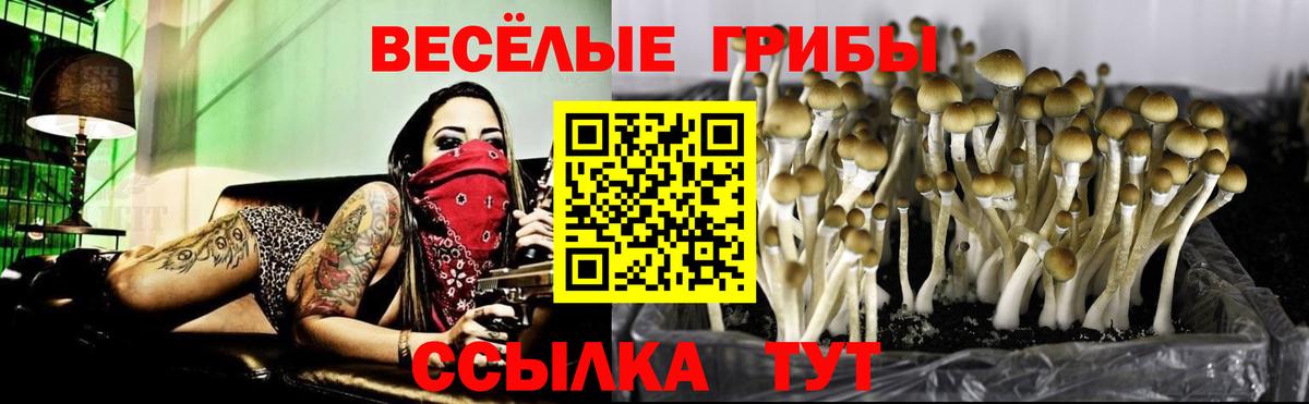 Псилоцибиновые грибы мухоморы Кандалакша